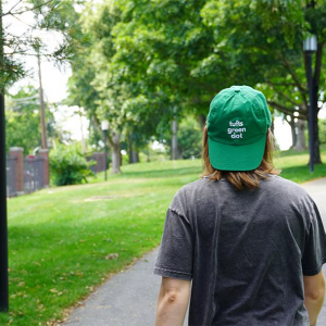 Wear a hat